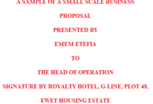 A Sample of a Small Scale Business Proposal