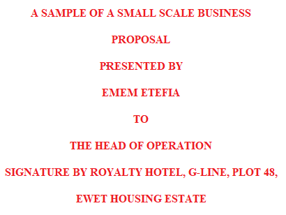 A Sample of a Small Scale Business Proposal